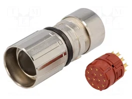 LAPP Conector M23 Hembra 12 Pines Recto Industrial