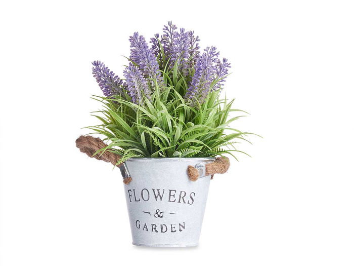 IBERGARDEN Planta Lavanda en Bote Metal 25 cm (Set de 12)