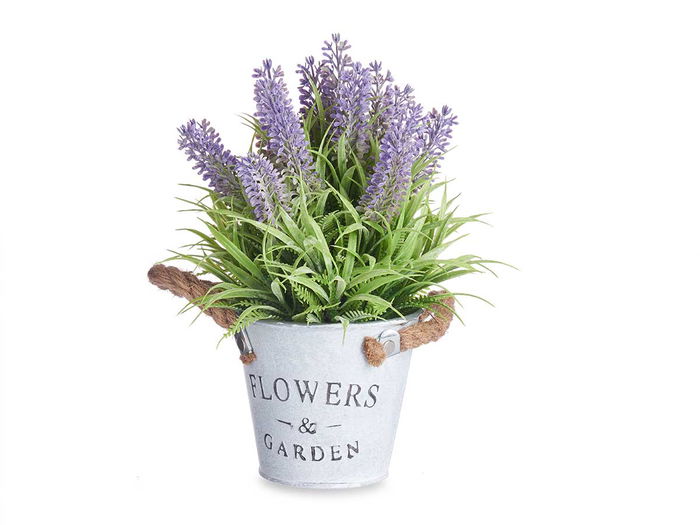 IBERGARDEN Planta Lavanda en Bote Metal 25 cm (Set de 12)