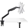 StarTech Soporte de Escritorio para Monitor Curvo de 49 pulgadas y 20 kg