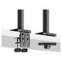 StarTech.com Soporte VESA de Sobremesa para Monitor Curvo de 49 Pulgadas Ultraancho