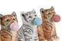 DKD Home Decor Figura de Resina Gato Surtido de 3 Unidades