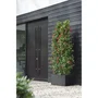Elho Jardinera Vivo Next Long 80 Negro L 78 x B 39 x H 38 cm ELH8711904499068 Interior/Exterior 100% Reciclado