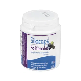 LABO SANTE SILICE Silacaps Polifenoles Vascular 120 cápsulas