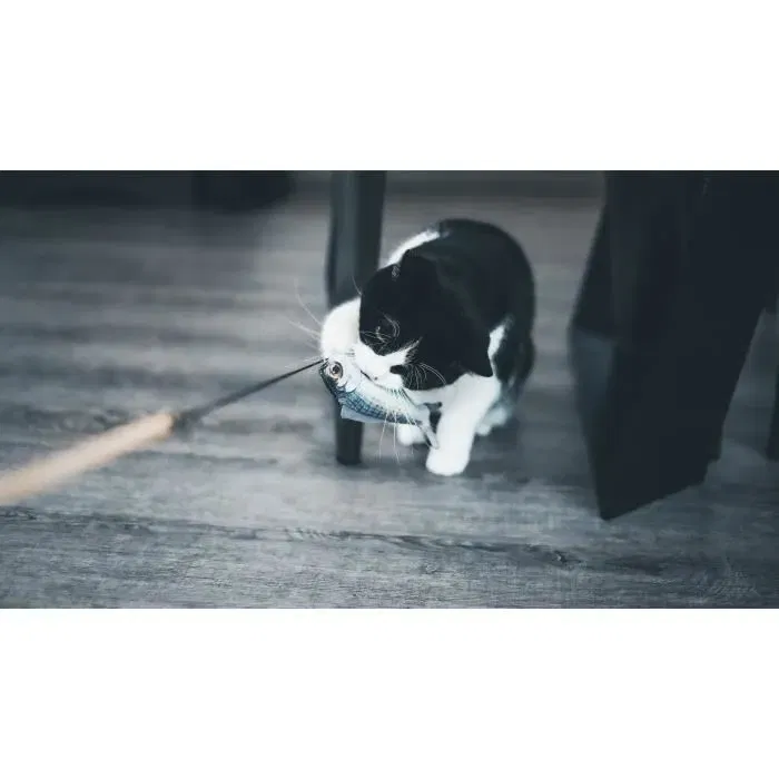 Aime AIM3281019014395 Juguete para Gatos Caña de Pescar Palo de Madera con Pez de 15 cm