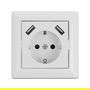 DeLOCK Enchufe de Pared con 2 Puertos USB Tipo A de 2.8 A, Blanco, CEE 7/3, 250V, para Montaje Empotrado