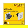 DeLOCK Enchufe de Pared con 2 Puertos USB Tipo A de 2.8 A, Blanco, CEE 7/3, 250V, para Montaje Empotrado