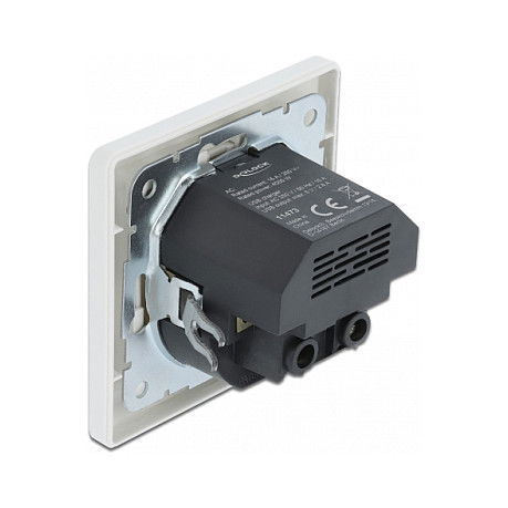 DeLOCK Enchufe de Pared con 2 Puertos USB Tipo A de 2.8 A, Blanco, CEE 7/3, 250V, para Montaje Empotrado