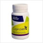 Stangest Coprovet 50g