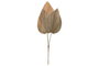 DKD Home Decor Decoración de Hoja de Palmera Natural 33x1x90 cm, 3 Hojas