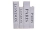 DKD Home Decor Set de 2 Cajas para Libros CITY Negro y Blanco