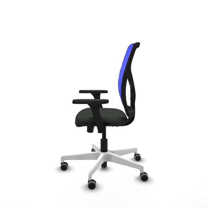 PIQUERAS Y CRESPO Silla de oficina Motilla con mecanismo Sincro/Traslack, Negro y Azul PIQUERAS Y CRESPO Silla de oficina Motilla con mecanismo Sincro/Traslack, Negro y Azul