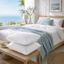 Blanreve Juego de 2 almohadas Transpiración especial - 60 x 60 cm - Blanco