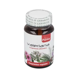 ARTESANIA Valeriana 50 Comprimidos Maese Herbario - Complemento Alimenticio para el Sistema Nervioso