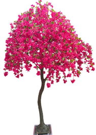 DKD Home Decor Árbol de Buganvilla Fucsia 150x150x300 cm