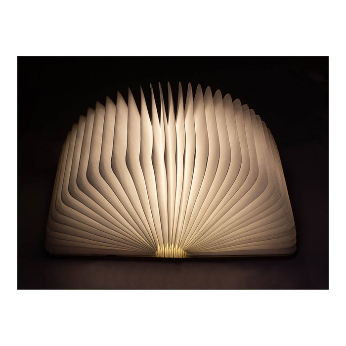 GoodConnections LED Lightbook [M] Ahornfarben