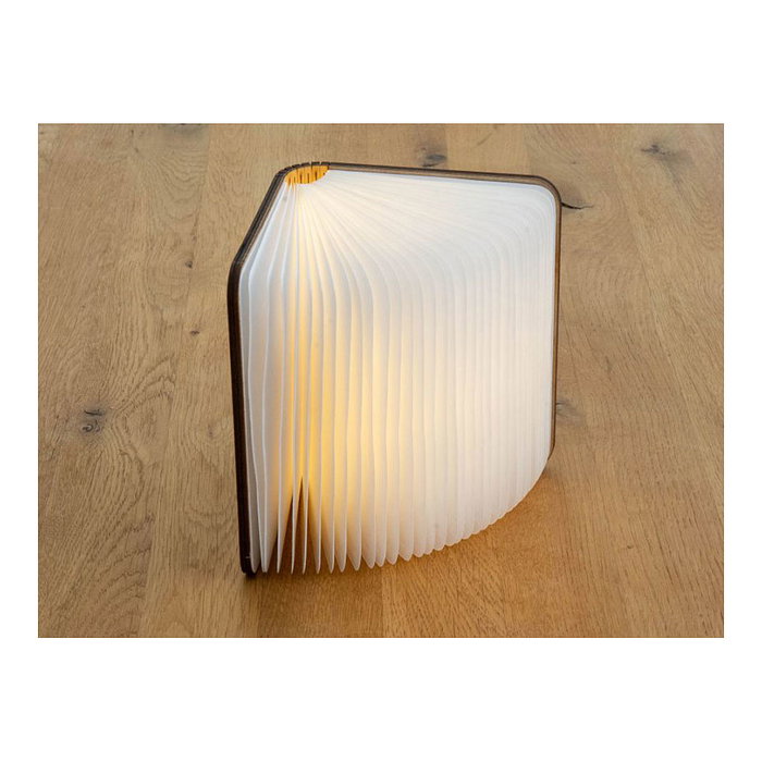 GoodConnections LED Lightbook [M] Ahornfarben