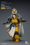 Joy Toy (CN) Warhammer Imperial Fists Librarian Consul con Force Axe y Bolt Pistol