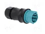 WIELAND Conector Industrial Redondo RST Hembra de 5 Pines, 250V, Azul Turquesa