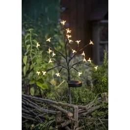 Galix Arbusto de floración solar G4505 H72