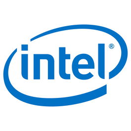 Intel AXXRMM4LITE2 Adaptador de Gestión Remota 4 Lite 2 para Servidores