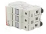DF ELECTRIC Portafusibles PMX para Raíl DIN 30A 600VAC 3 Polos