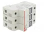 DF ELECTRIC Portafusibles PMX para Raíl DIN 30A 600VAC 3 Polos