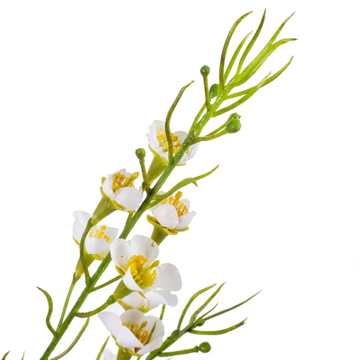 Rama Flores Blanco Artificial 40 X 12 X 130 cm (Set de 2)