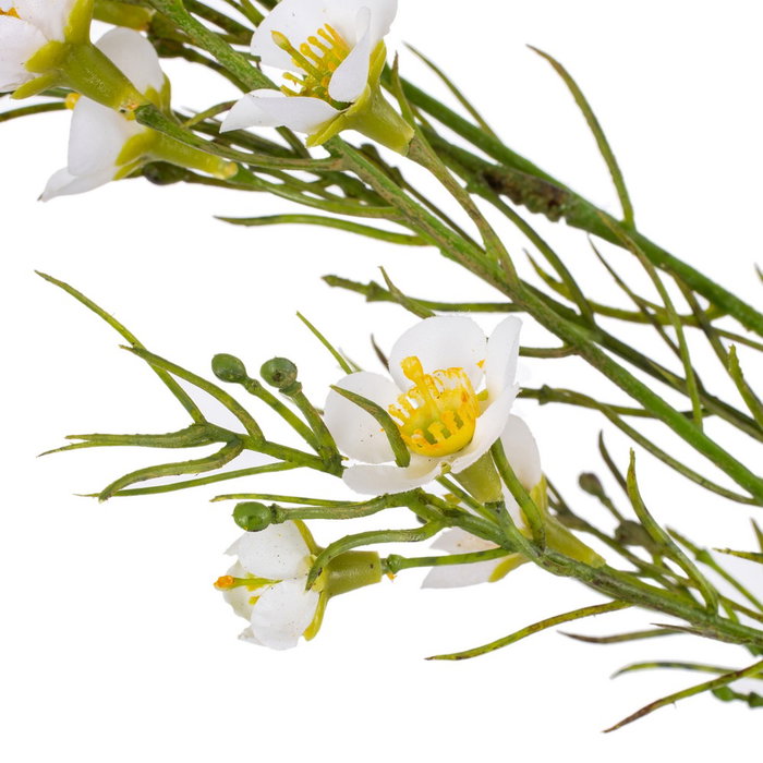 Rama Flores Blanco Artificial 40 X 12 X 130 cm (Set de 2)