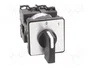 SCHNEIDER ELECTRIC Interruptor de leva de 2 posiciones 12A Negro