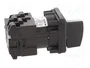 SCHNEIDER ELECTRIC Interruptor de leva de 2 posiciones 12A Negro