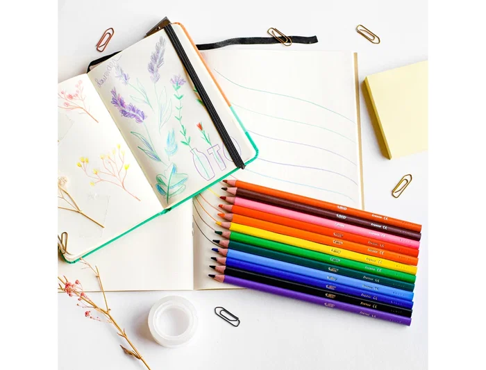 Bic Lápices de Colores Intensity Triangle Caja de 12 Unidades Colores Surtidos