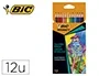 Bic Lápices de Colores Intensity Triangle Caja de 12 Unidades Colores Surtidos