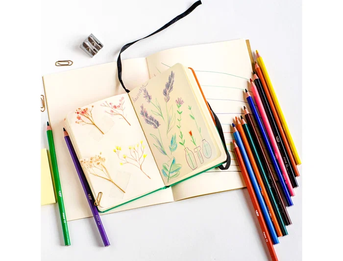 Bic Lápices de Colores Intensity Triangle Caja de 12 Unidades Colores Surtidos