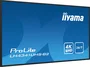 Iiyama ProLite LH4341UHS-B2 43 pulg. 4K UHD IPS