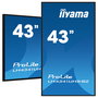 Iiyama Monitor Smart TV LH4341UHS-B2 108 cm (43") 4K Ultra HD IPS 3xHDMI USB 24/7 500 cd/m2 Android 8.0