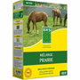 BHS Meadow Mix 1kg