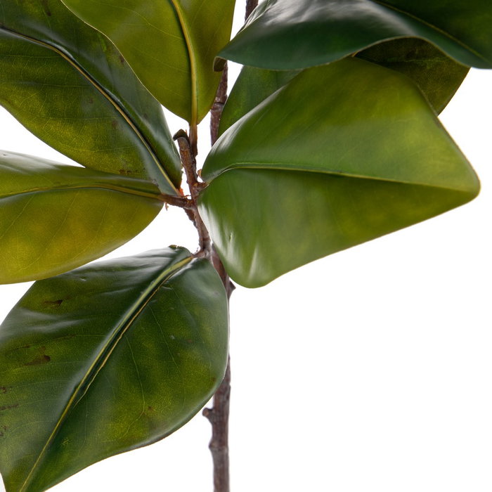 Rama Magnolia Verde Artificial 50 X 30 X 120 cm (Set de 2)