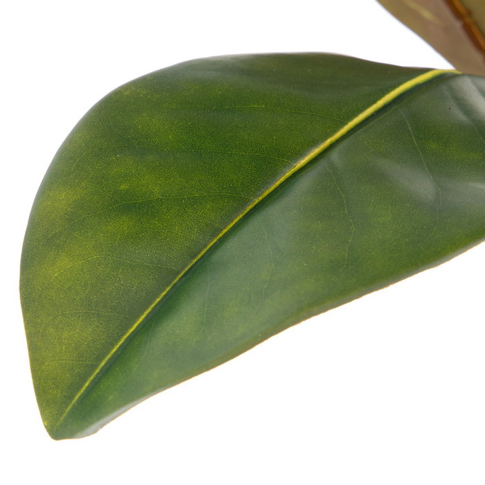 Rama Magnolia Verde Artificial 50 X 30 X 120 cm (Set de 2)