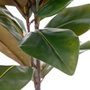 Rama Magnolia Verde Artificial 50 X 30 X 120 cm (Set de 2)