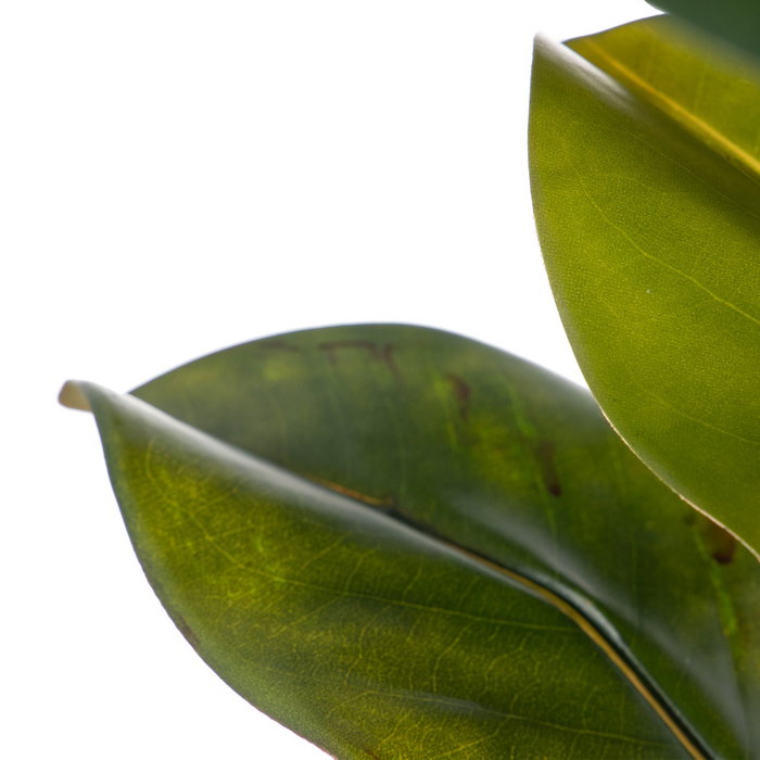 Rama Magnolia Verde Artificial 50 X 30 X 120 cm (Set de 2)