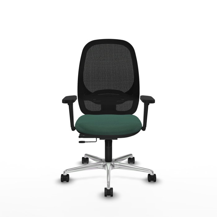 PIQUERAS Y CRESPO Silla de oficina Cilanco con mecanismo Sincro/Traslack, Verde botella y Negro PIQUERAS Y CRESPO Silla de oficina Cilanco con mecanismo Sincro/Traslack, Verde botella y Negro
