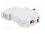 ETI POLAM ETIMAT 10 Interruptor magnetotérmico 1P 10A 10kA
