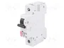 ETI POLAM ETIMAT 10 Interruptor magnetotérmico 1P 10A 10kA