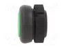 SCHNEIDER ELECTRIC Interruptor de presión Harmony XAC verde 22mm