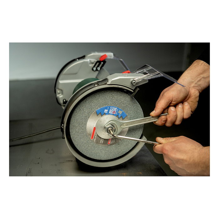 Metabo DS 200 Plus Amoladora de doble eje 2980 RPM 600 W, rueda abrasiva de óxido de aluminio de 200 mm, negro/verde/gris, Alemania