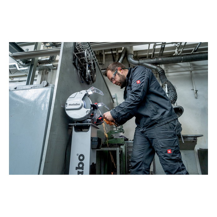 Metabo DS 200 Plus Amoladora de doble eje 2980 RPM 600 W, rueda abrasiva de óxido de aluminio de 200 mm, negro/verde/gris, Alemania