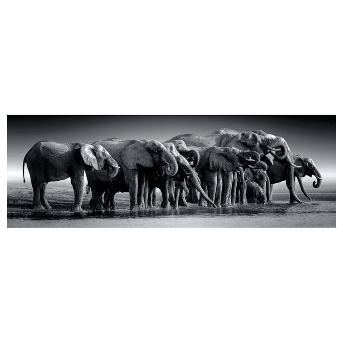 CLEMENTONI Puzzle Manada de Gigantes 1000 piezas