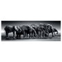 CLEMENTONI Puzzle Manada de Gigantes 1000 piezas