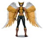 McFarlane Toys DC Multiverse Hawkgirl (Kendra Saunders) Figura de Acción 28 cm